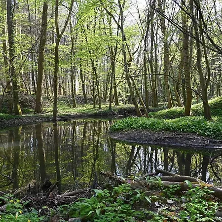 Ferienwohnung Camino Jockgrim Zewnętrze zdjęcie